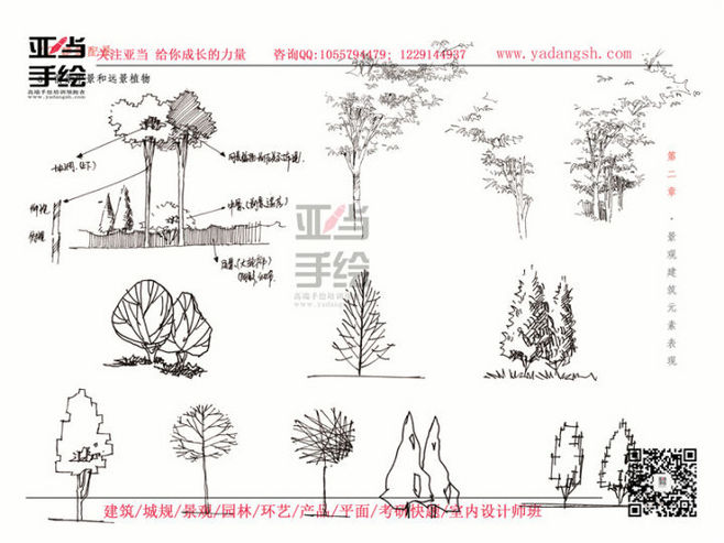 景观设计手绘中植物的画法 从观察到表现的全面解析